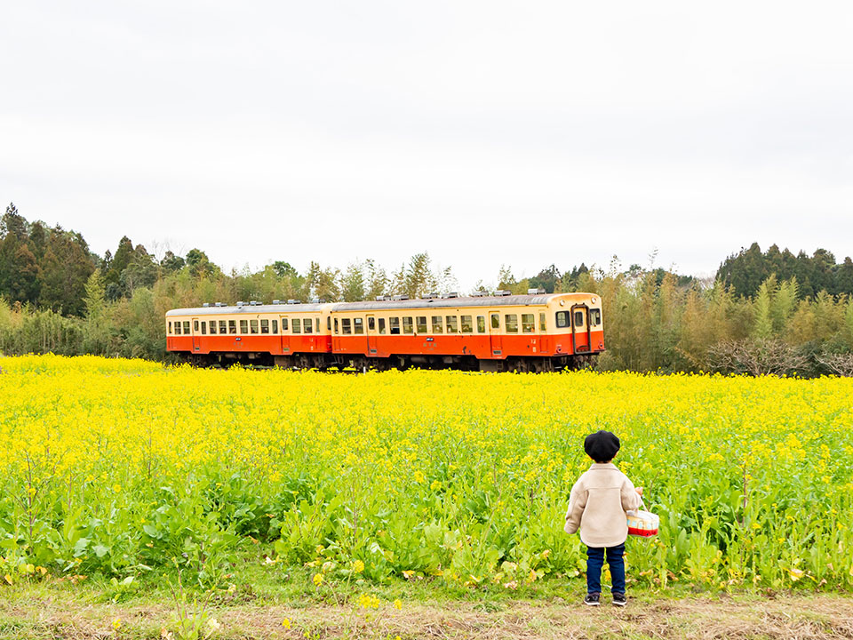 銀賞　広瀬 佑香さんの作品「電車とボクと菜の花畑」
